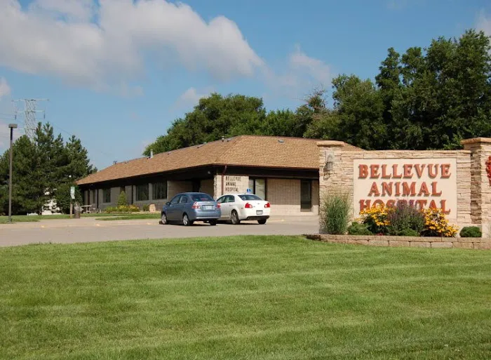 Bellevue Animal Hospital PC Picture 3