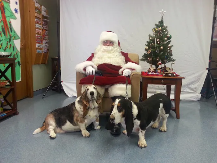 Bellevue Animal Hospital PC Picture 4