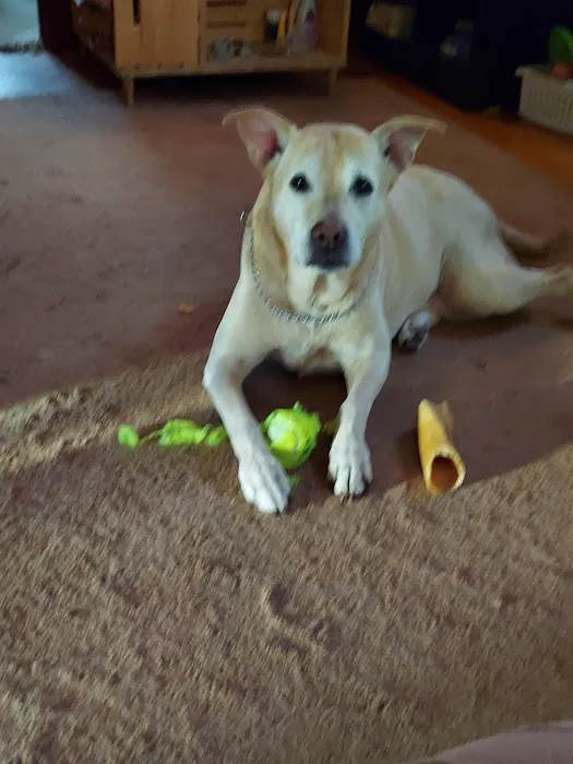 Omaha Animal Hospital Picture 2