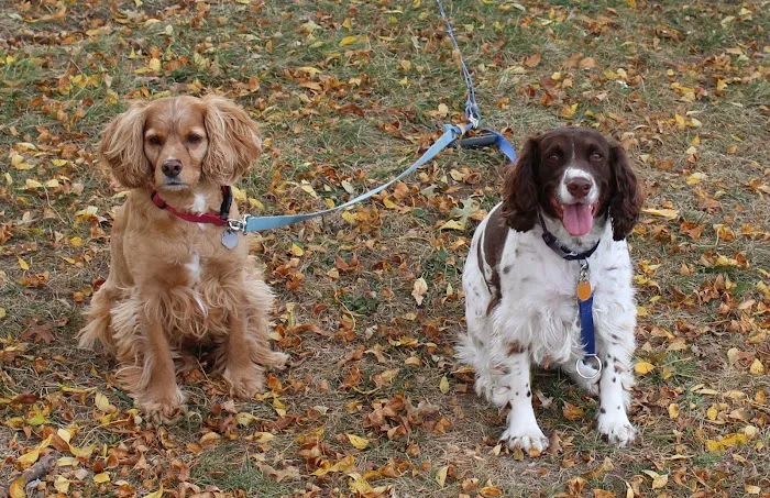 Omaha Animal Hospital Picture 3