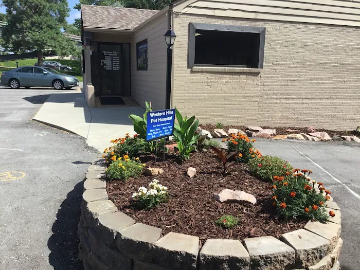 Western Hills Pet Hospital Picture 6
