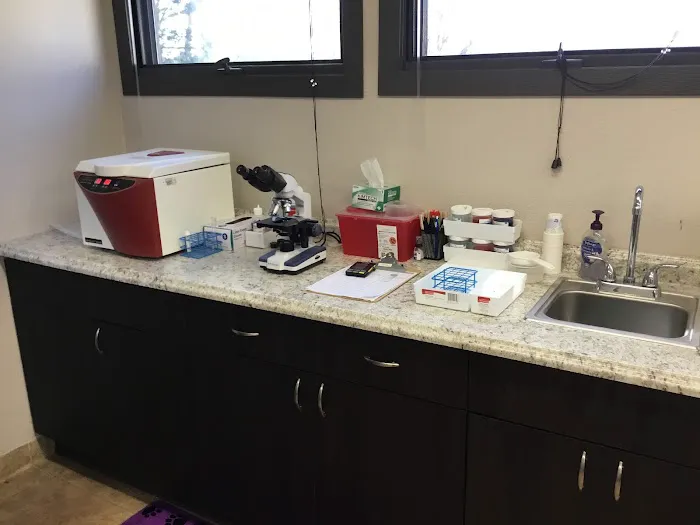 Western Hills Pet Hospital Picture 4