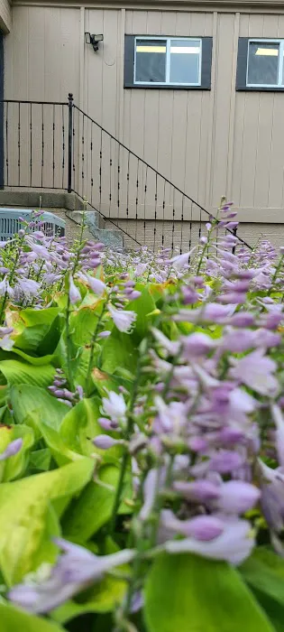 Western Hills Pet Hospital Picture 7