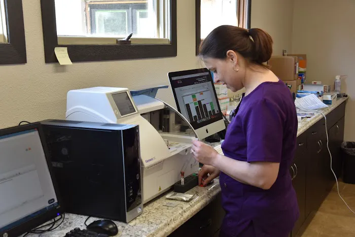 Western Hills Pet Hospital Picture 10