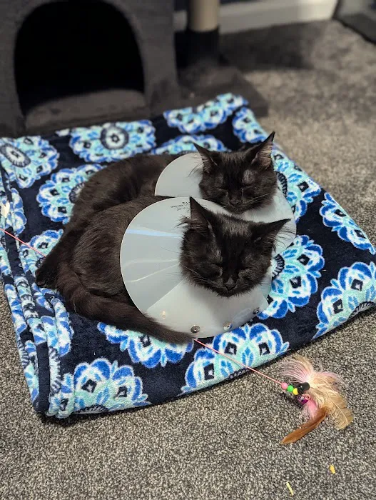 Western Hills Pet Hospital Picture 9