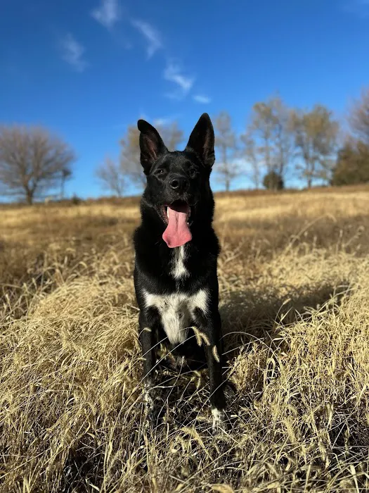 Vetco Total Care Animal Hospital Picture 1