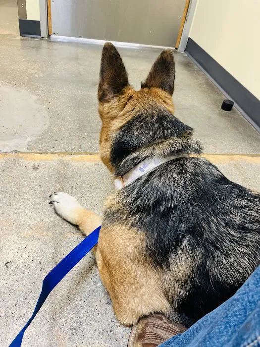 Vetco Total Care Animal Hospital Picture 6