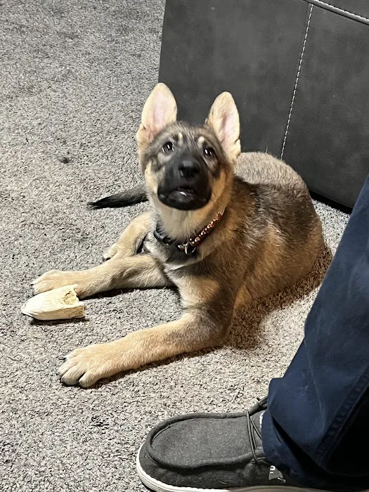 Vetco Total Care Animal Hospital Picture 5