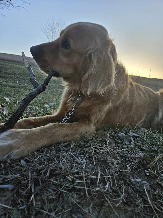 Vetco Total Care Animal Hospital Picture 4