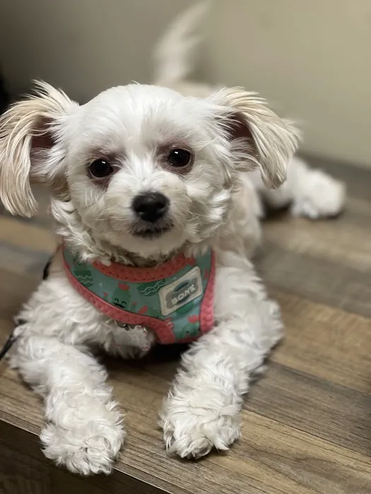 Vetco Total Care Animal Hospital Picture 3