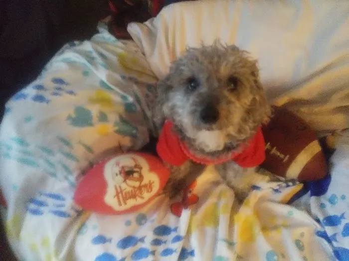 Vetco Total Care Animal Hospital Picture 8