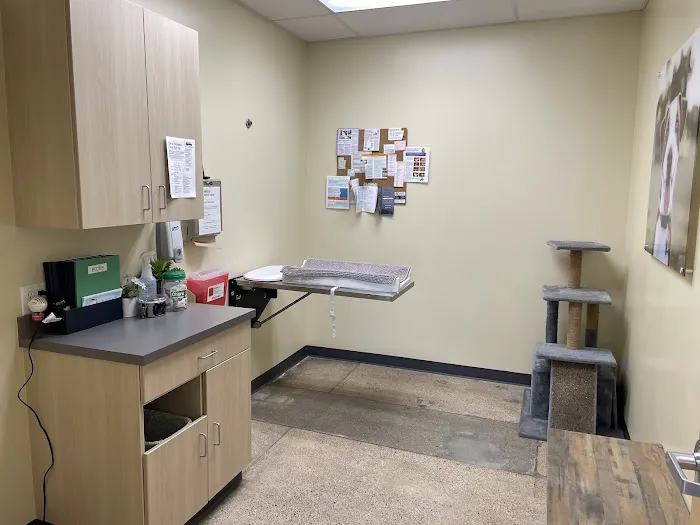 Vetco Total Care Animal Hospital Picture 10