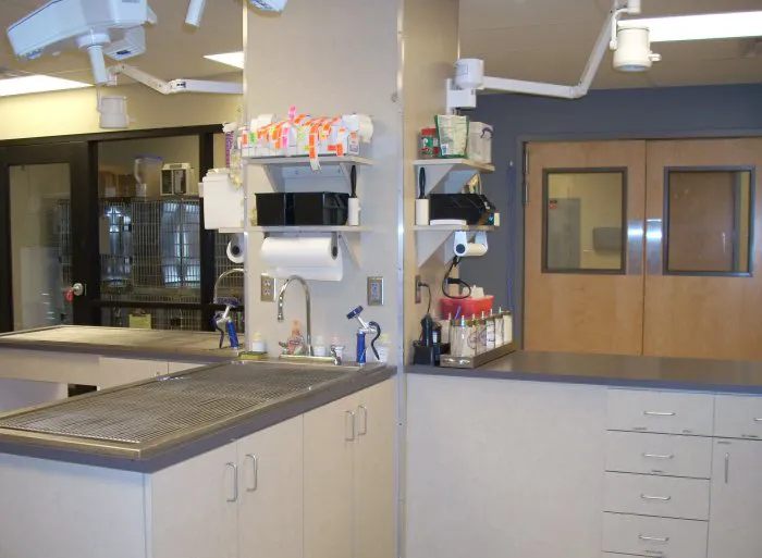 VCA 80 Dodge Animal Hospital Picture 1