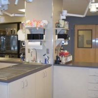 VCA 80 Dodge Animal Hospital ico