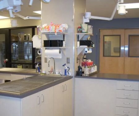 VCA 80 Dodge Animal Hospital