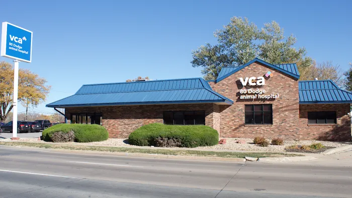 VCA 80 Dodge Animal Hospital Picture 10