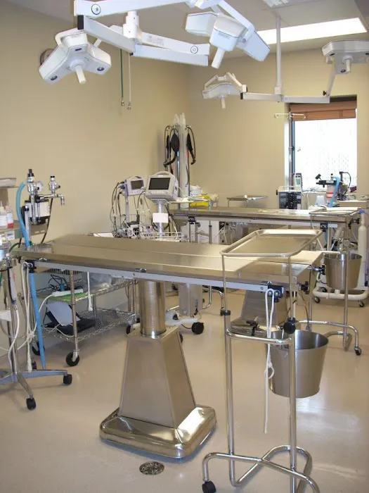 VCA 80 Dodge Animal Hospital Picture 7