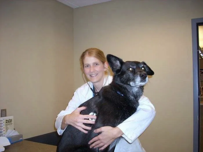 VCA 80 Dodge Animal Hospital Picture 8