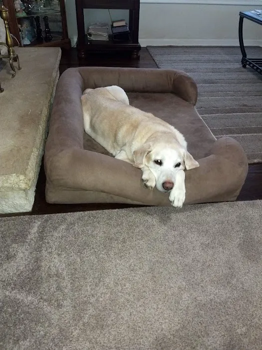 Loveland Animal Hospital Picture 4