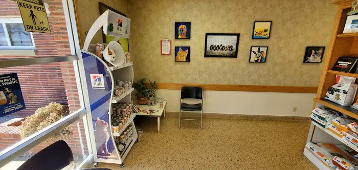 Loveland Animal Hospital Picture 7