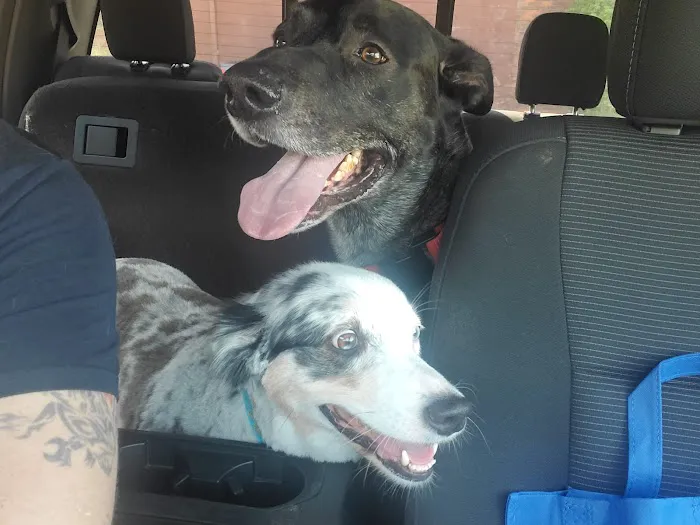 Loveland Animal Hospital Picture 6