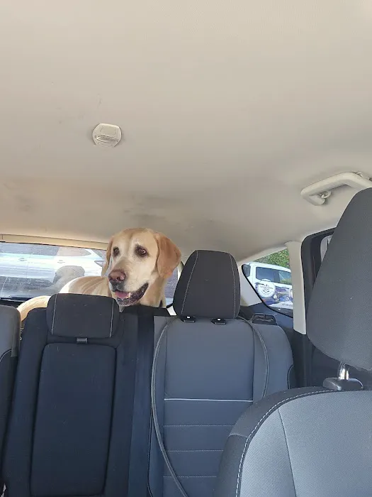 Loveland Animal Hospital Picture 10