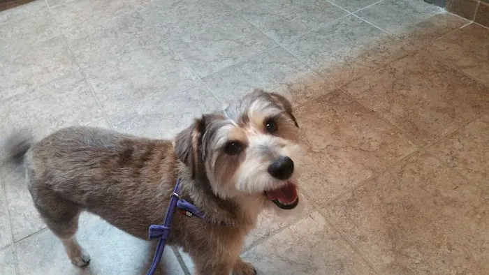 VCA Animal Medical Center of Omaha Picture 5