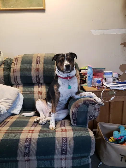 Hilltop Animal Hospital Picture 5