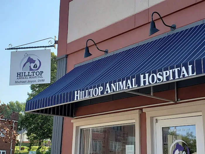Hilltop Animal Hospital Picture 8