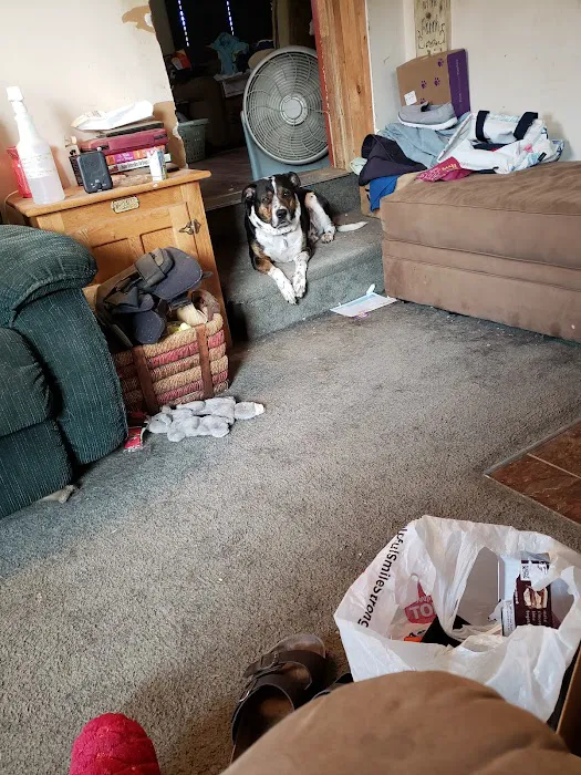 Hilltop Animal Hospital Picture 10