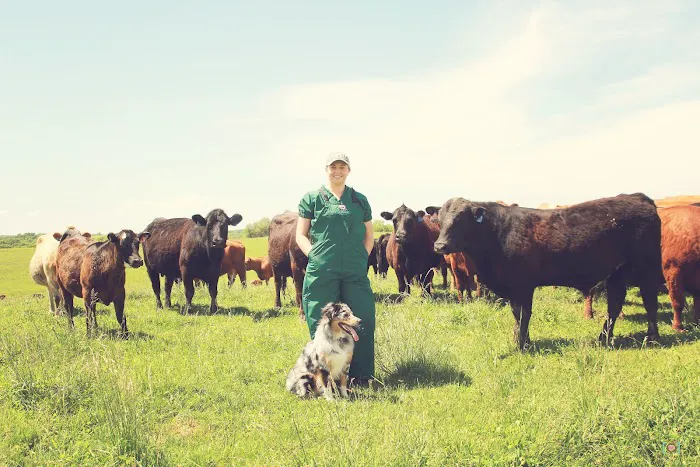 Allee Veterinary Services, Inc. Picture 1