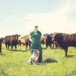 Allee Veterinary Services, Inc.