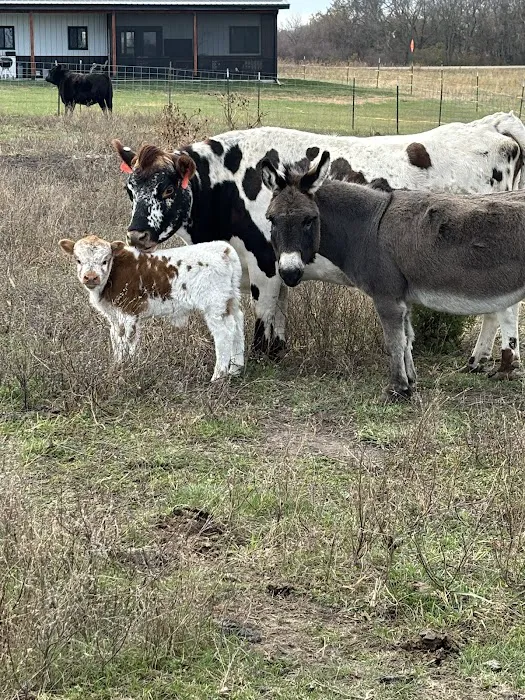 Allee Veterinary Services, Inc. Picture 3