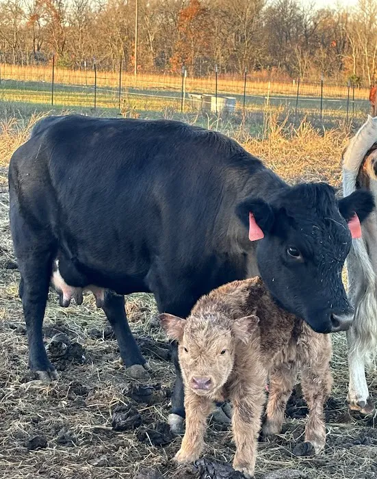 Allee Veterinary Services, Inc. Picture 2