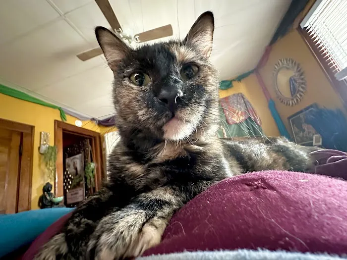 A Bar S Veterinary Clinic Picture 7