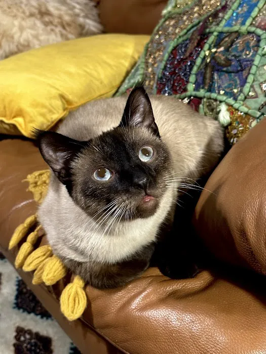 A Bar S Veterinary Clinic Picture 9