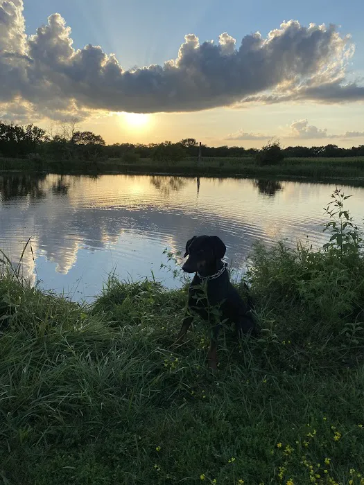 Cameron Veterinary Clinic Picture 3