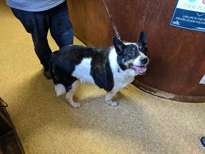 Cameron Veterinary Clinic Picture 1