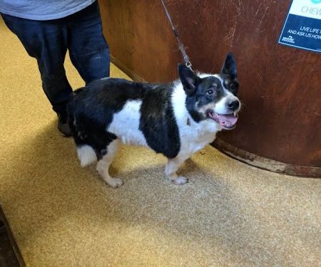 Cameron Veterinary Clinic