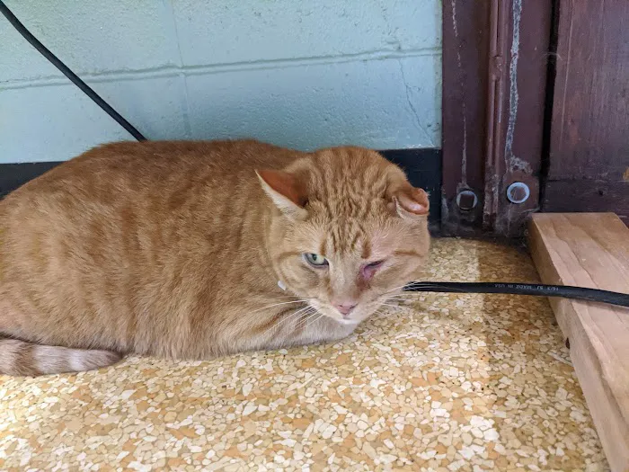 Cameron Veterinary Clinic Picture 6