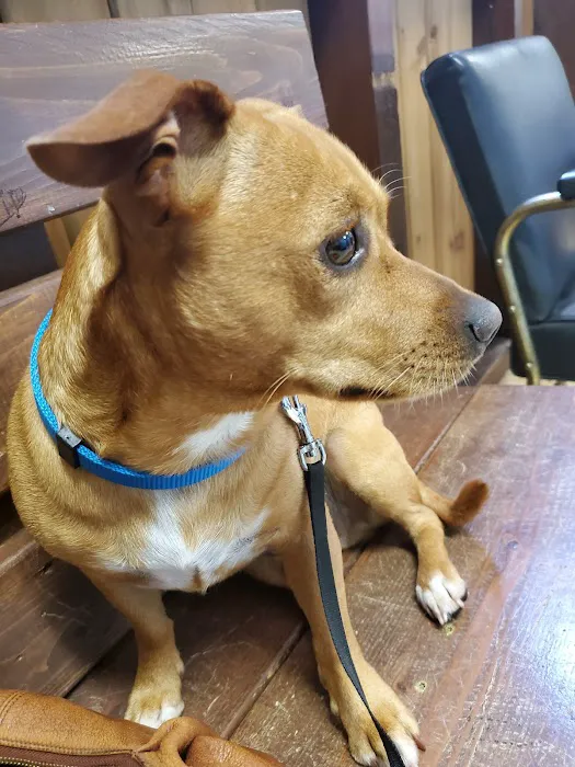 Cameron Veterinary Clinic Picture 7