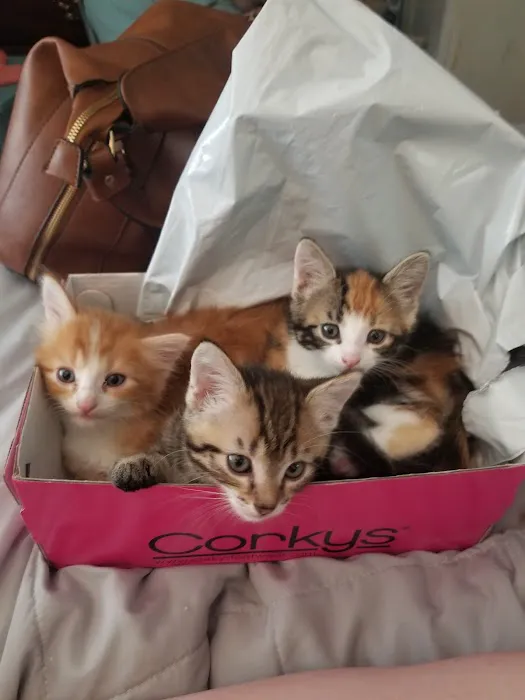 Cameron Veterinary Clinic Picture 5