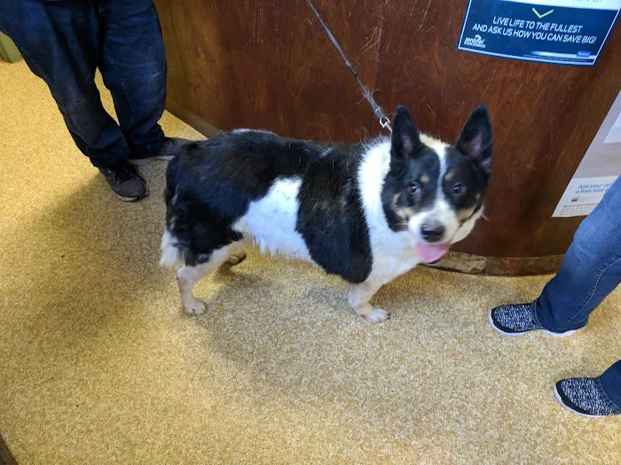 Cameron Veterinary Clinic Picture 4