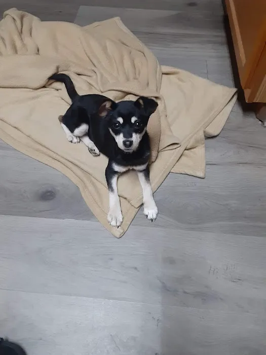 Cameron Veterinary Clinic Picture 9