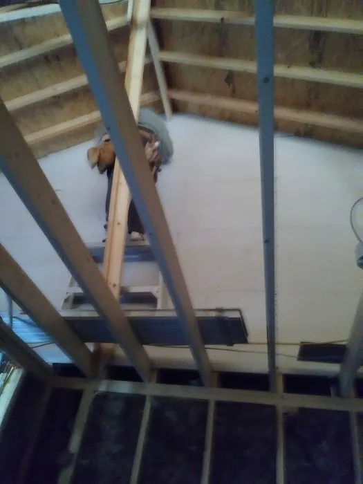 Twin Oaks Veterinary Clinic Picture 4