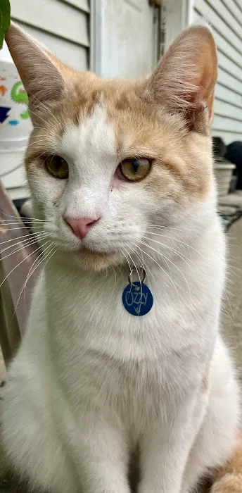 Polo Veterinary Clinic Picture 2