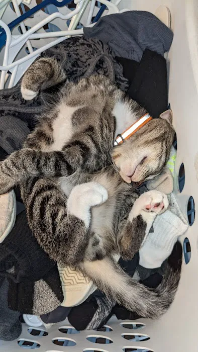 Polo Veterinary Clinic Picture 3