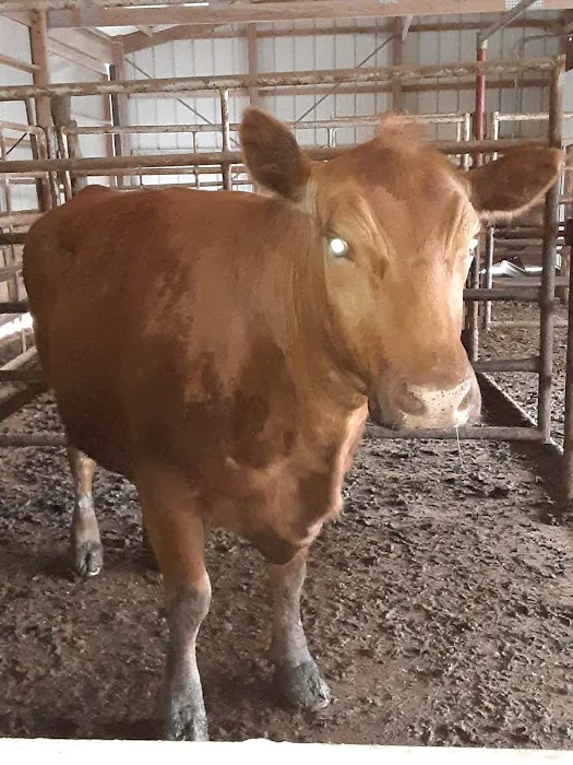 Polo Veterinary Clinic Picture 1