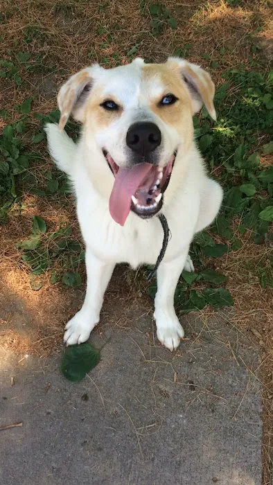 Polo Veterinary Clinic Picture 4