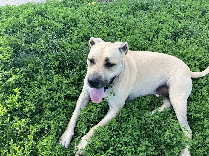 Polo Veterinary Clinic Picture 5